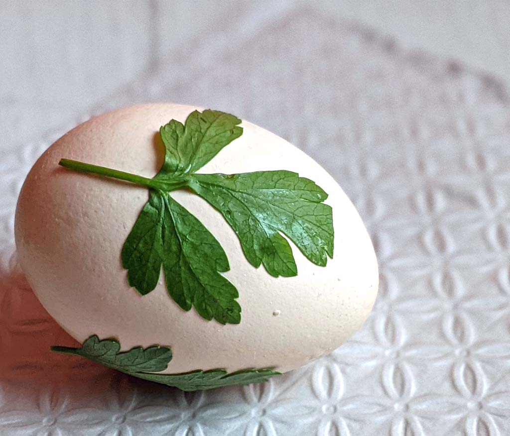 sposób naturalnego farbowania pisanek