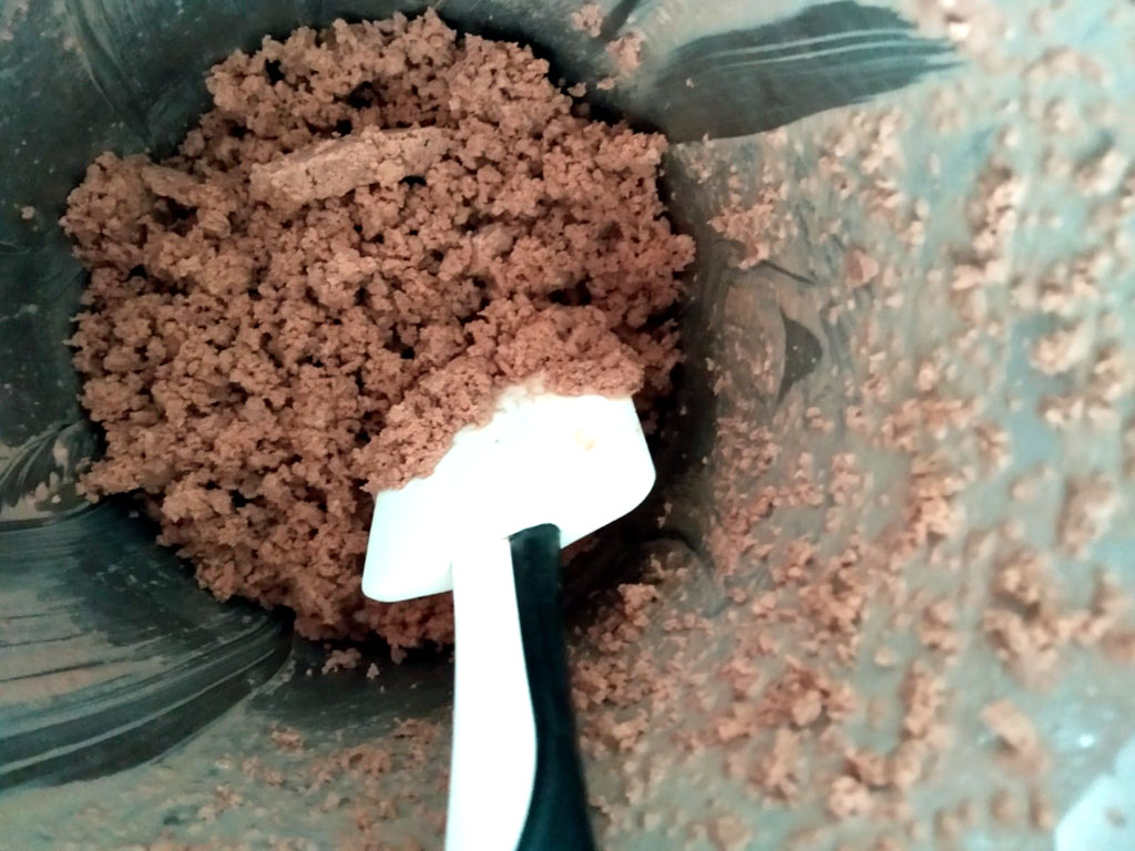 domowe lody czekoladowe