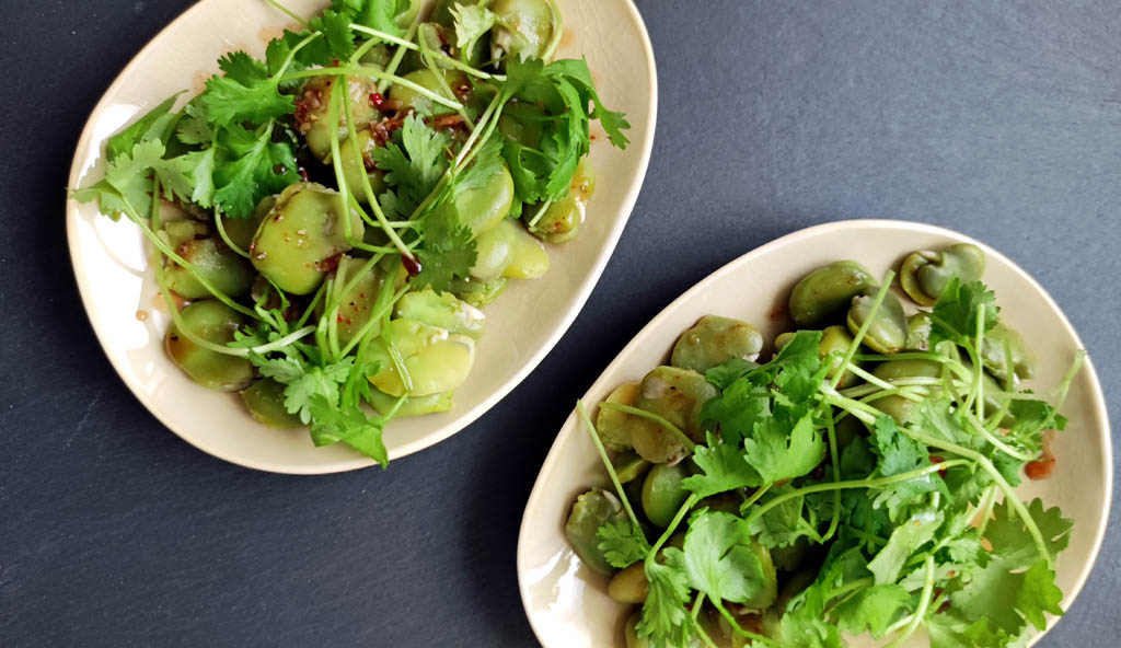 sałatka z bobu i kolendry