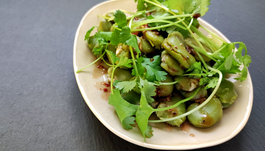 sałatka z bobu i kolendry